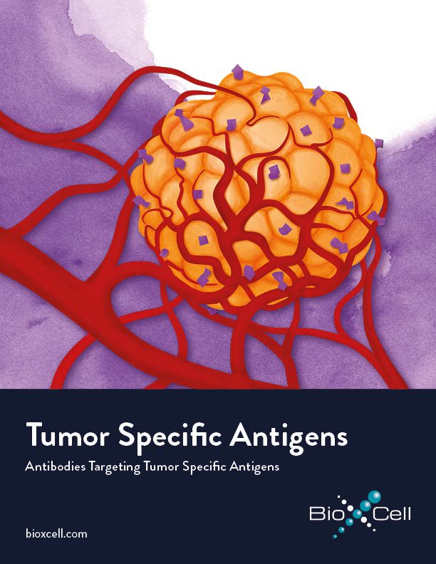 Tumor Specific Antigens Brochure